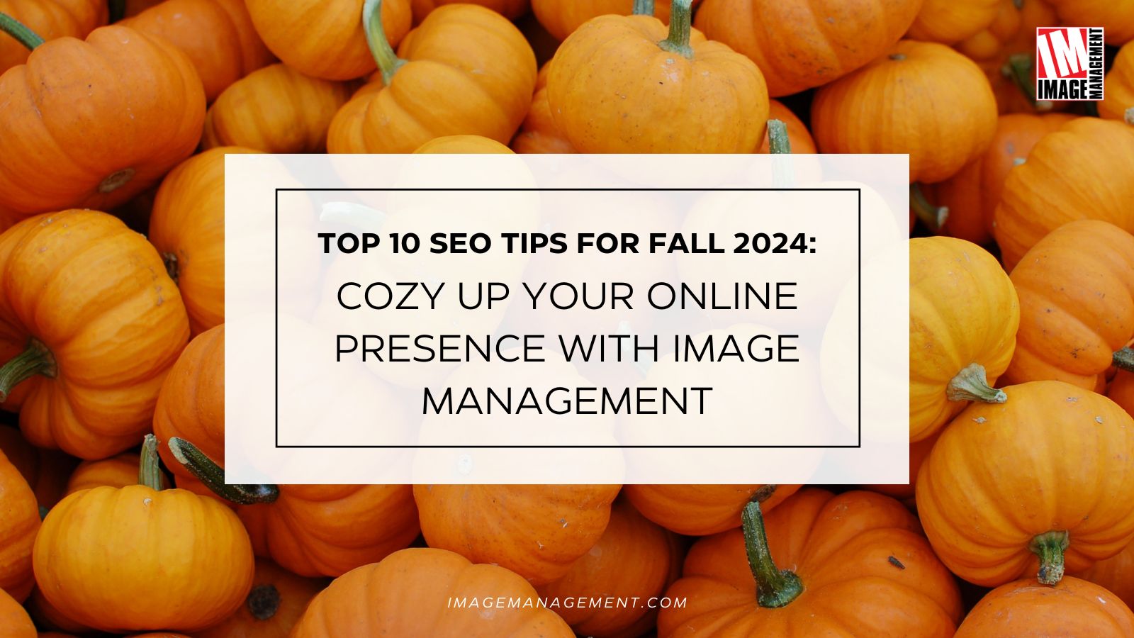 SEO Tips for Fall of 2024