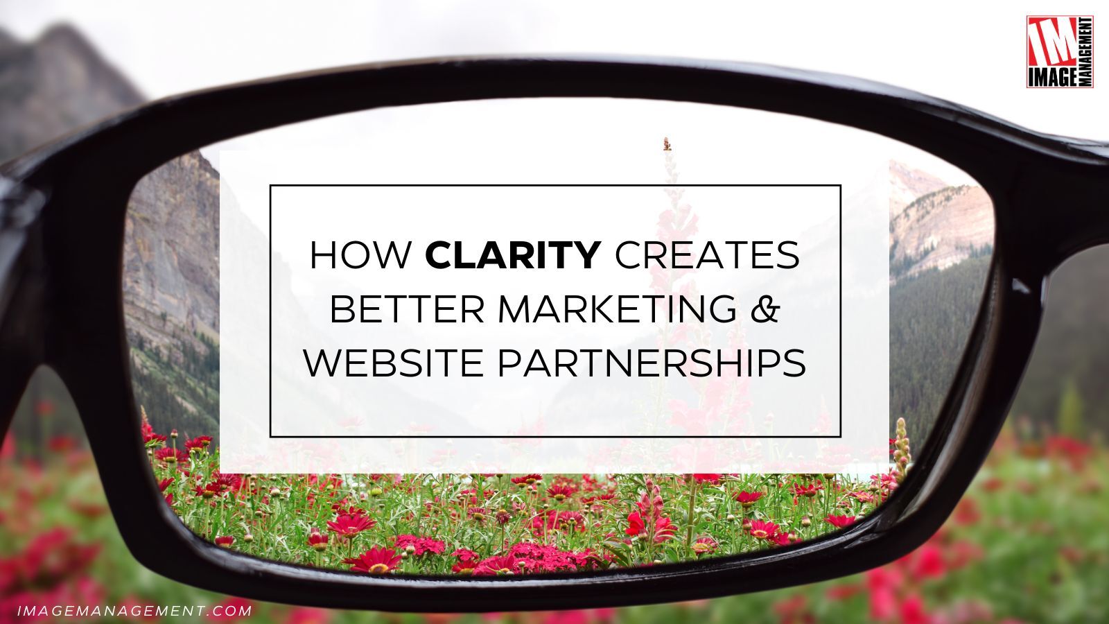 IM brings clarity to website development and digital marketing