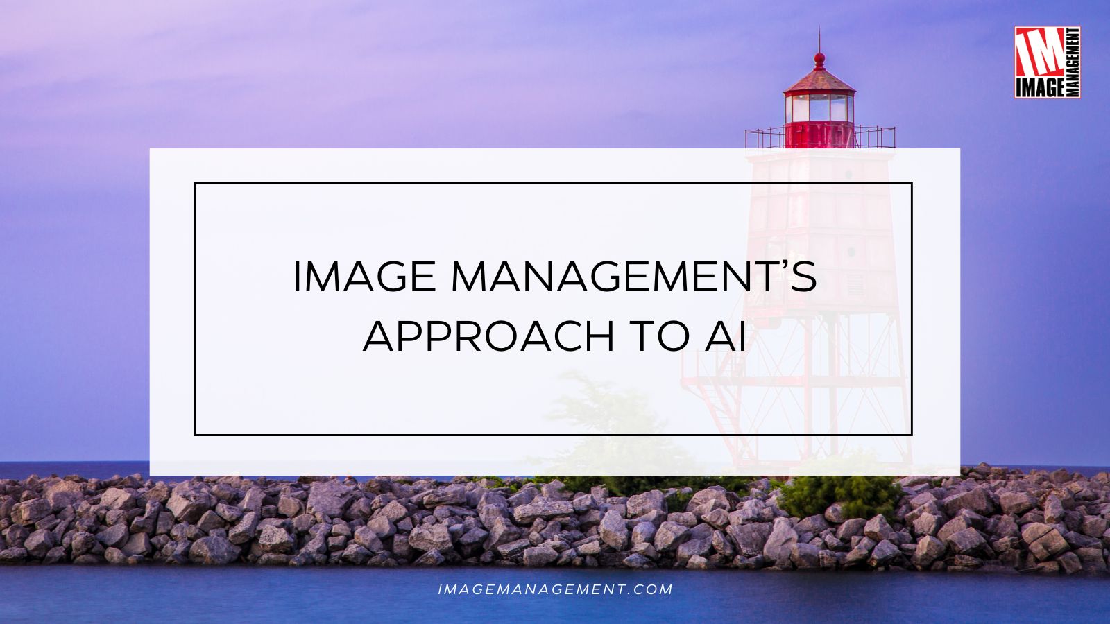 Image Management's Web Design Approach to AI