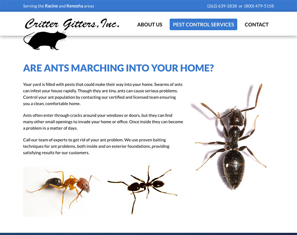 Critter Gitters Services Page