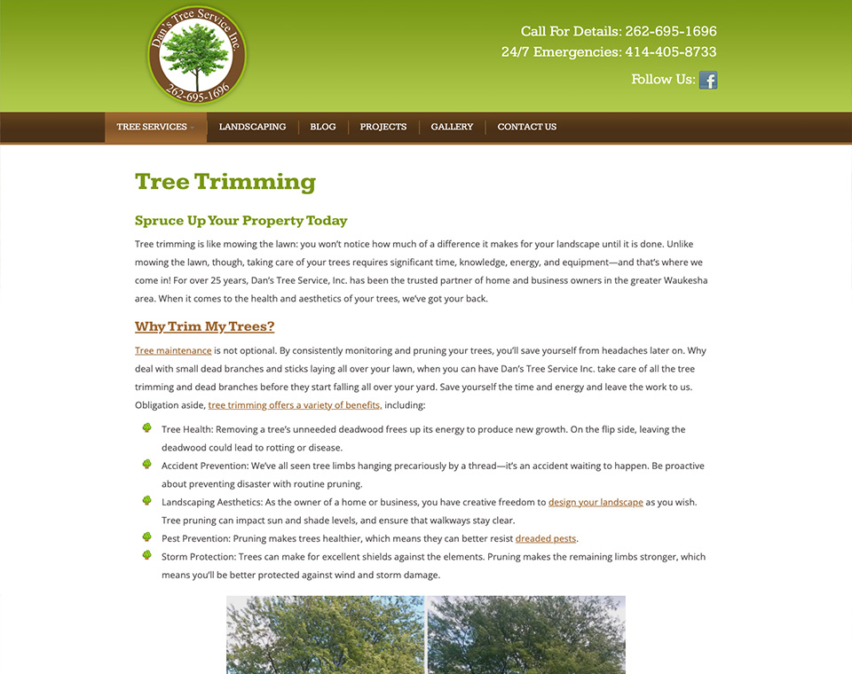 Dan's Tree Service - Service Page