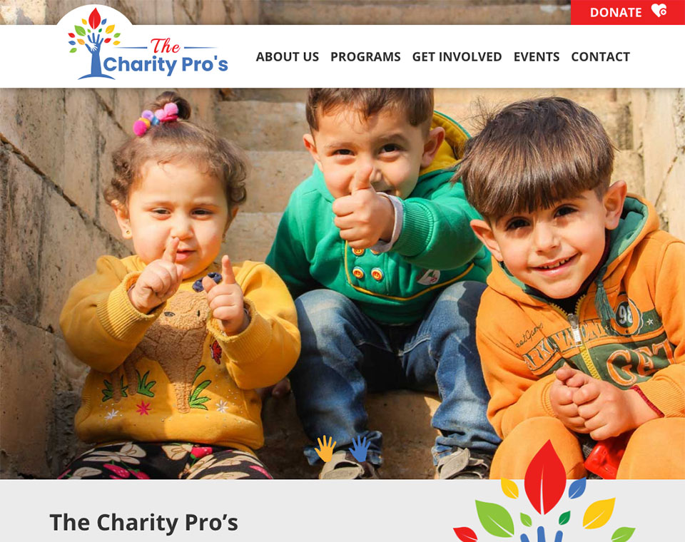 The Charity Pros Home Page