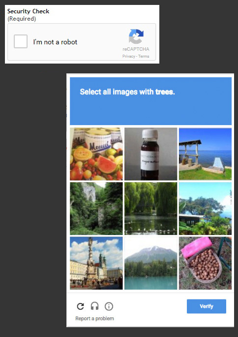 ReCaptcha Webform Spam Blocker Samples