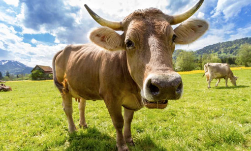 Image Management creates website design brands that work for companies in Racine, Milwaukee, Chicago, and Kenosha!