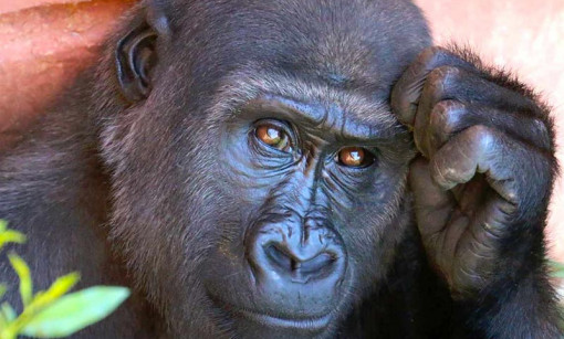 Image Management integrates guerrilla marketing into its Racine, Milwaukee, Chicago, and Kenosha website design and SEO campaigns.