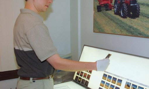 Chad - Account Executive