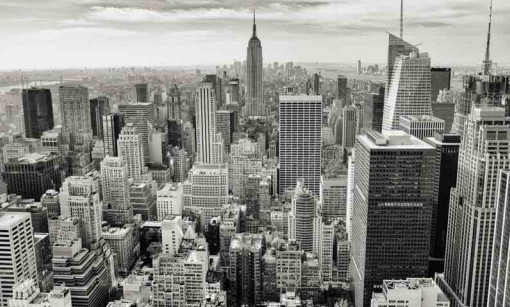 Hire the Website Pros