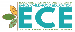 Texas Early Childhood Learning