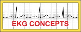 EKG Concepts Logo