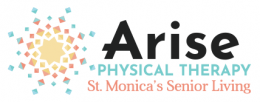 Arise Physical Therapy