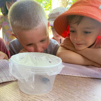 Prairie Hill Waldorf School